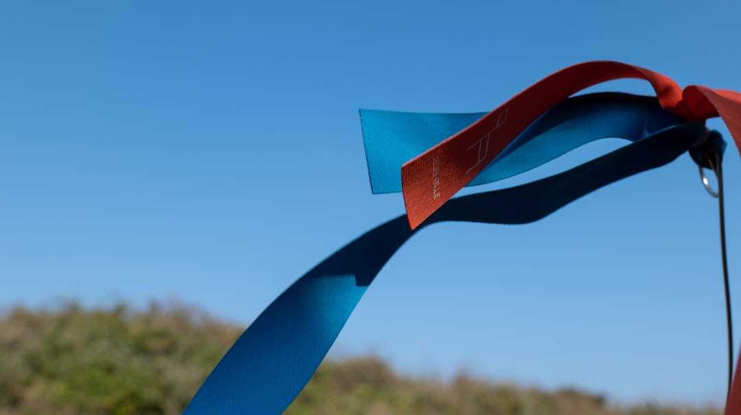 Jeju Olle Trail: Reading the Signs and Choosing a Course