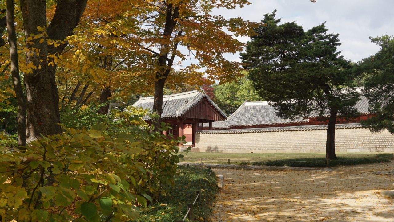 A gate in the walled precinct of Jongmyo Shrine in autumn, the kind of quiet inner boundary you pass on the way between the shrine's halls