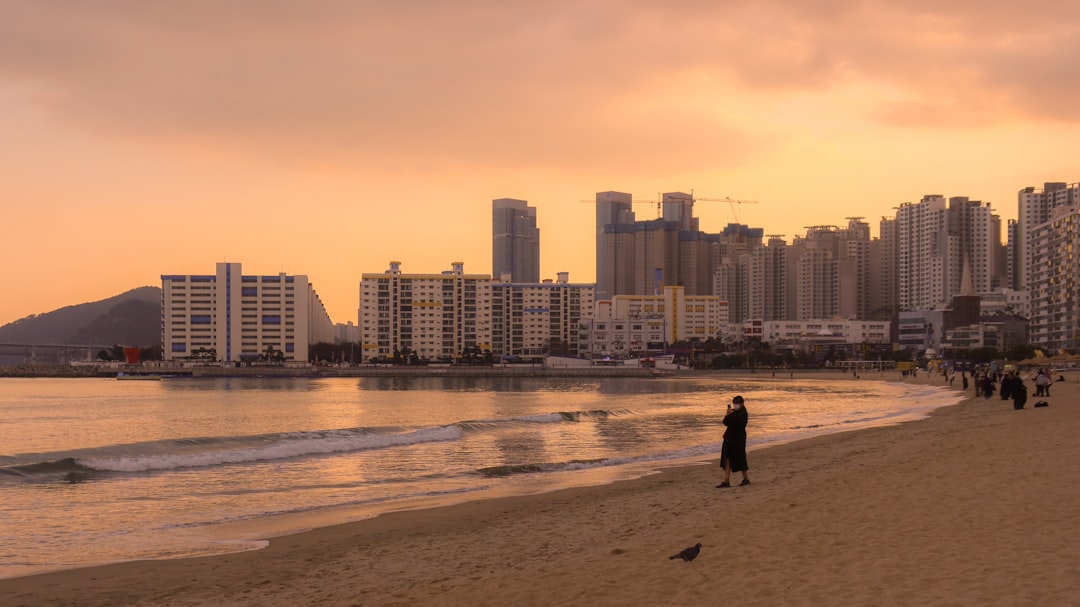 Busan Beaches 2026: Opening Dates, Hours and Beach-by-Beach Rules