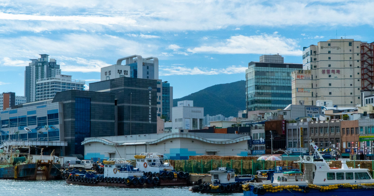 Busan to Fukuoka Ferry: The Check-In Window English Guides Get Wrong