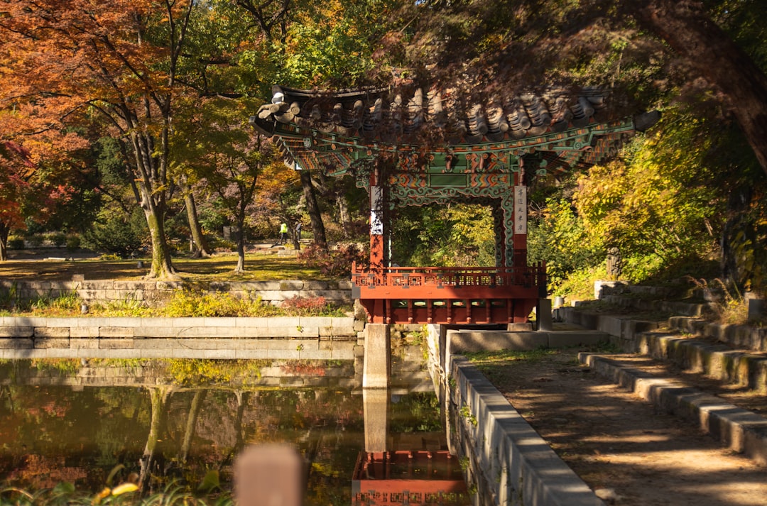 Changdeokgung Secret Garden: The Booking Rules English Guides Missed