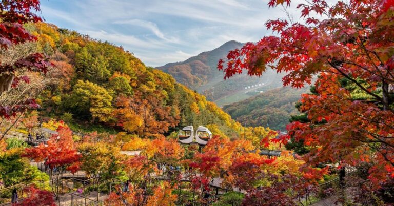 Hwadamsup Autumn Tickets 2026: Buying in English, and Getting There